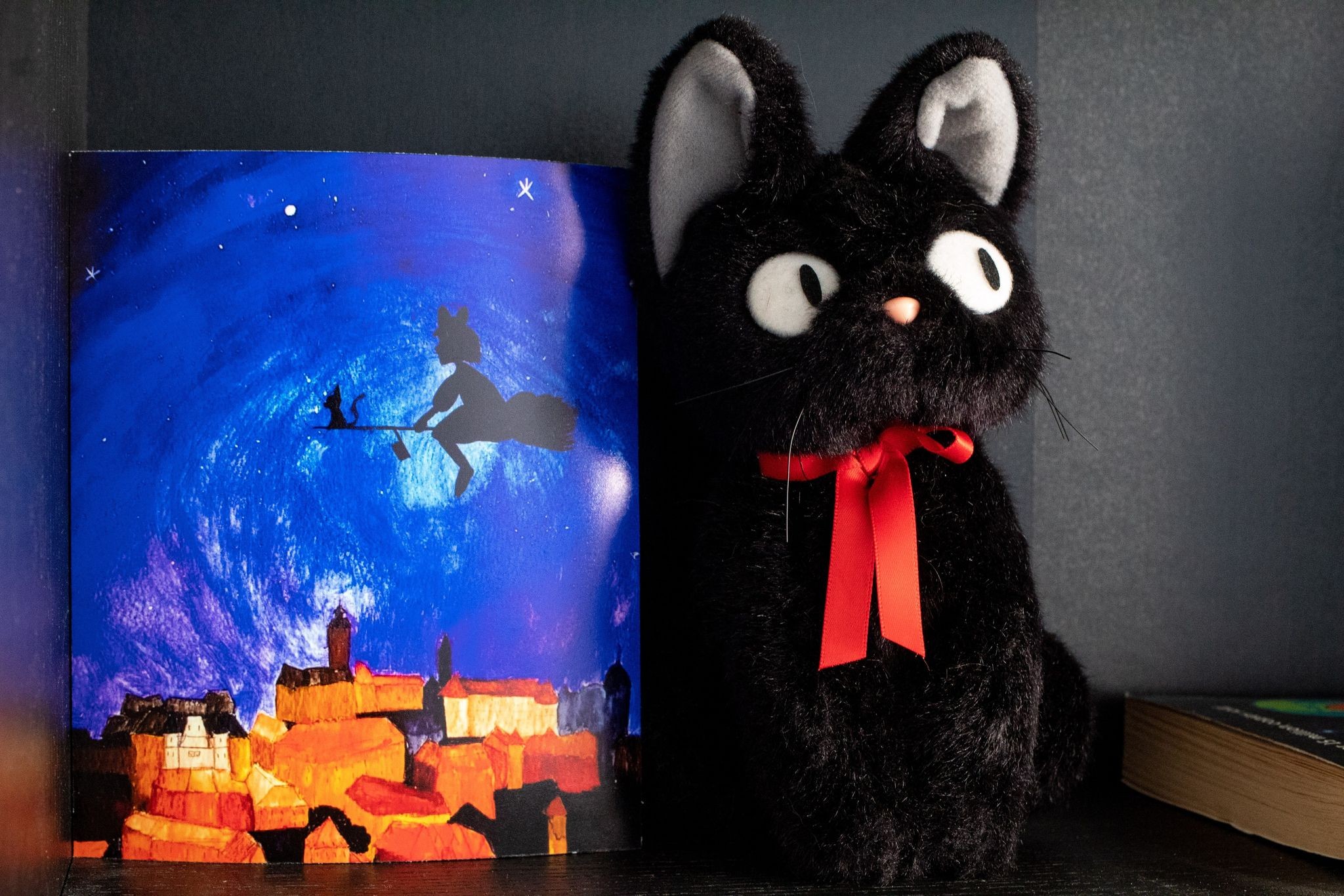 Product image of "A Magical Night" print set on a bookshelf sitting beside a black cat plushie